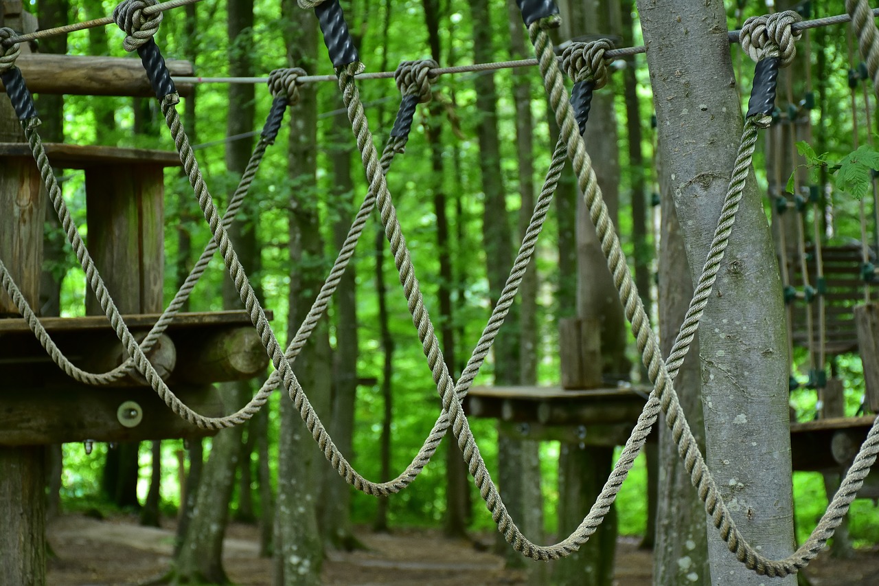Ropes course - by RitaE on Pixabay - license free