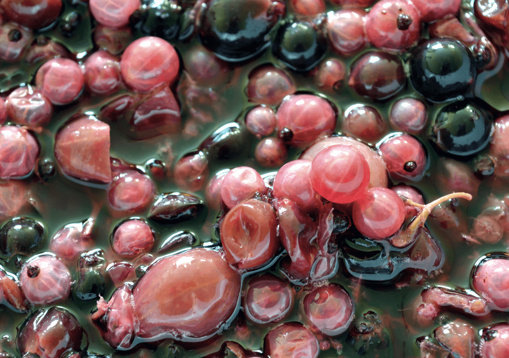 Grape Must - Photo by Georgi Mironi - Getty / Canva