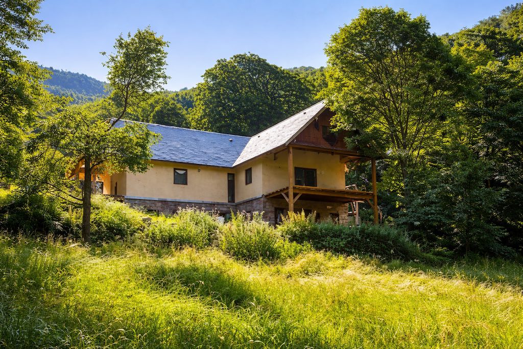 Nids des Pyrenees