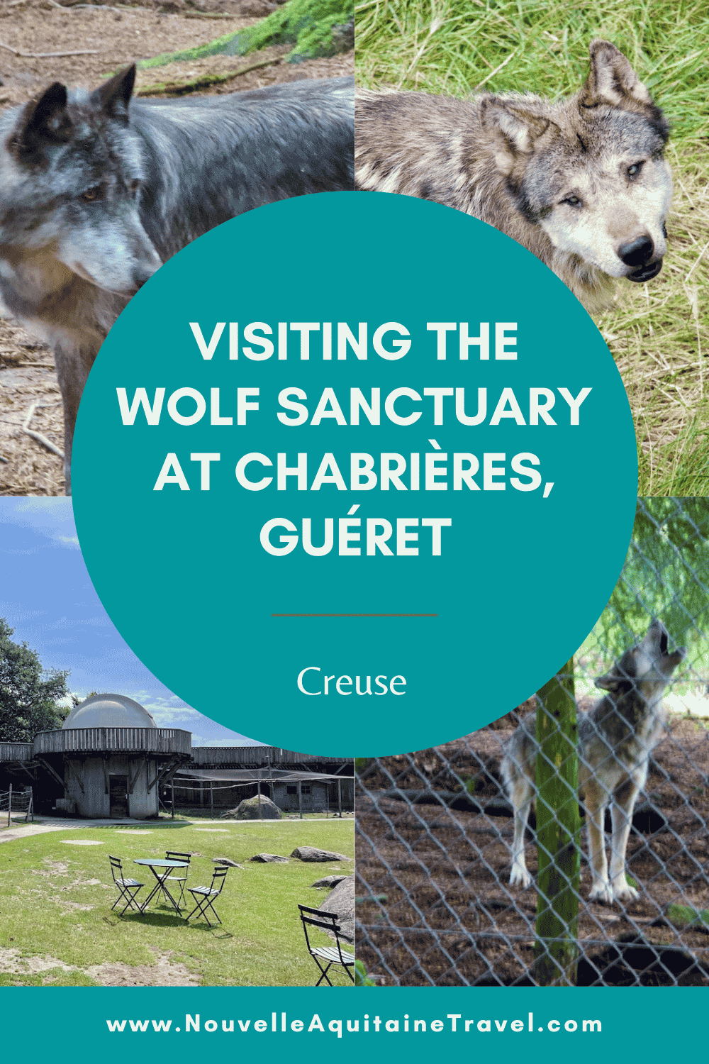 Visiting the Wolf Sanctuary at Chabrières, Guéret