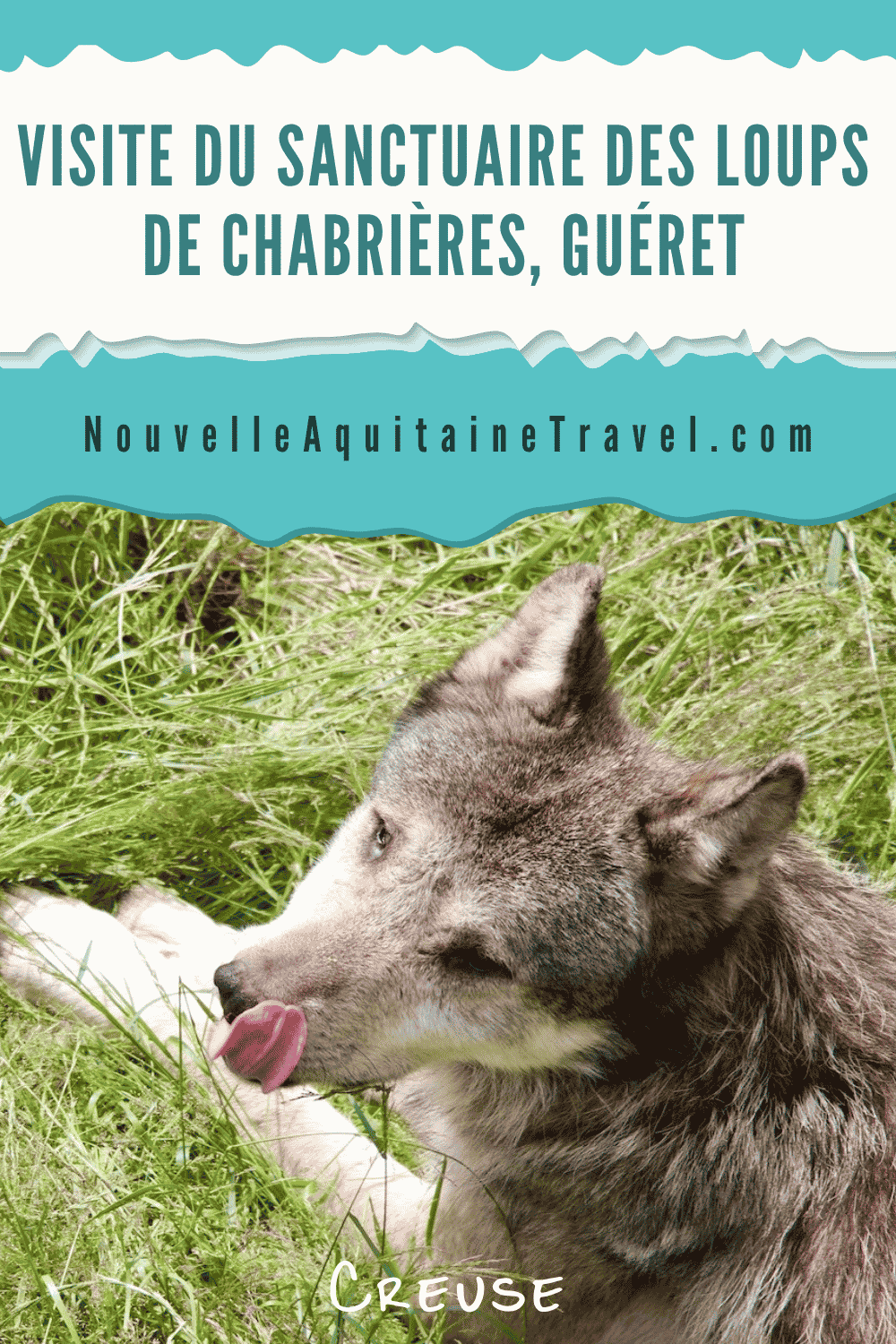 Visiting the Wolf Sanctuary at Chabrières, Guéret